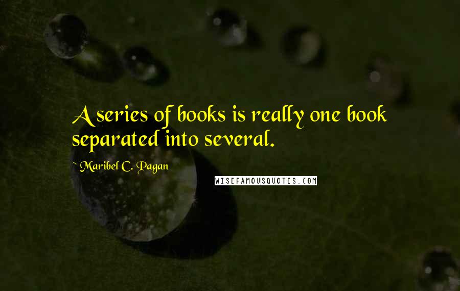Maribel C. Pagan Quotes: A series of books is really one book separated into several.