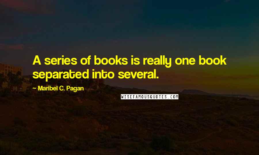 Maribel C. Pagan Quotes: A series of books is really one book separated into several.