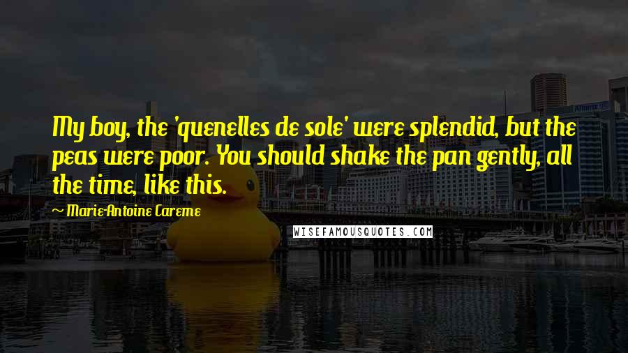 Marie-Antoine Careme Quotes: My boy, the 'quenelles de sole' were splendid, but the peas were poor. You should shake the pan gently, all the time, like this.