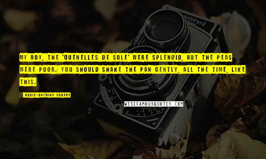Marie-Antoine Careme Quotes: My boy, the 'quenelles de sole' were splendid, but the peas were poor. You should shake the pan gently, all the time, like this.