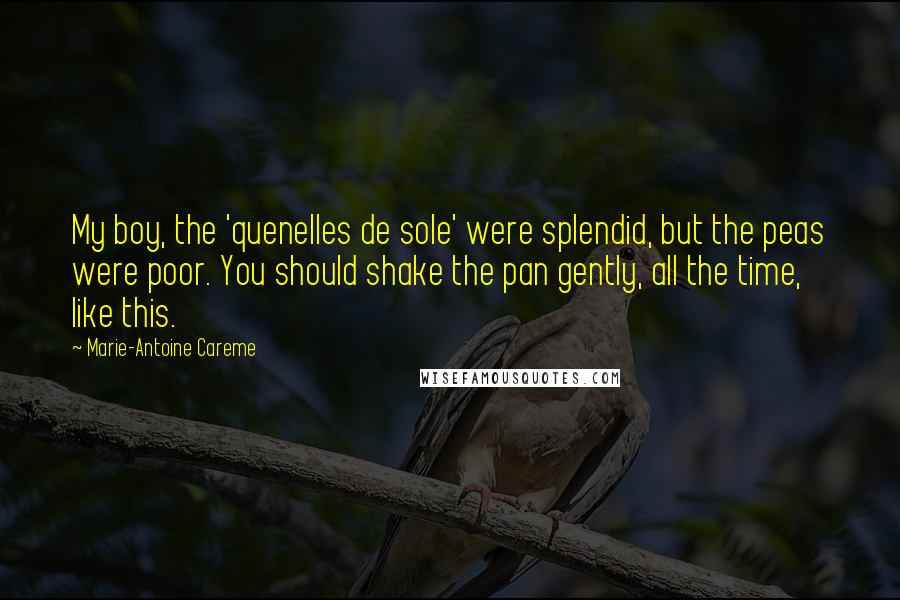 Marie-Antoine Careme Quotes: My boy, the 'quenelles de sole' were splendid, but the peas were poor. You should shake the pan gently, all the time, like this.