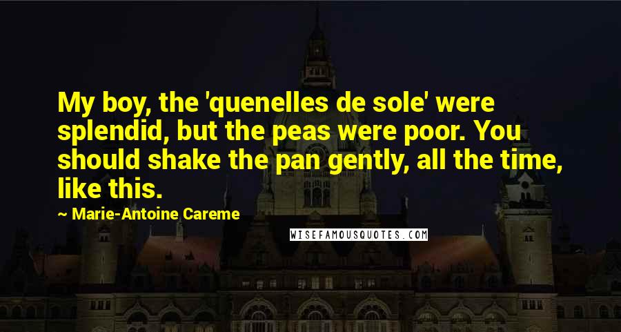 Marie-Antoine Careme Quotes: My boy, the 'quenelles de sole' were splendid, but the peas were poor. You should shake the pan gently, all the time, like this.