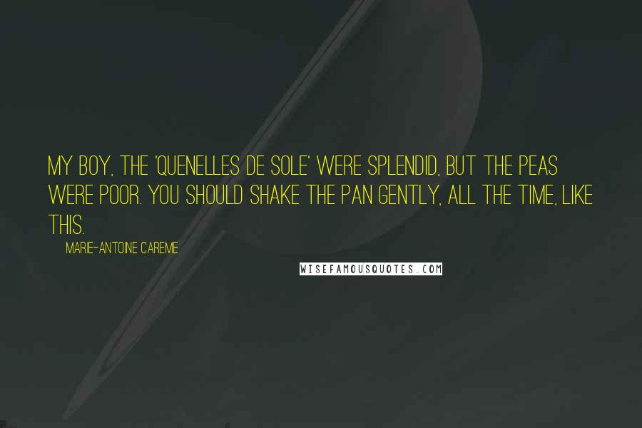 Marie-Antoine Careme Quotes: My boy, the 'quenelles de sole' were splendid, but the peas were poor. You should shake the pan gently, all the time, like this.