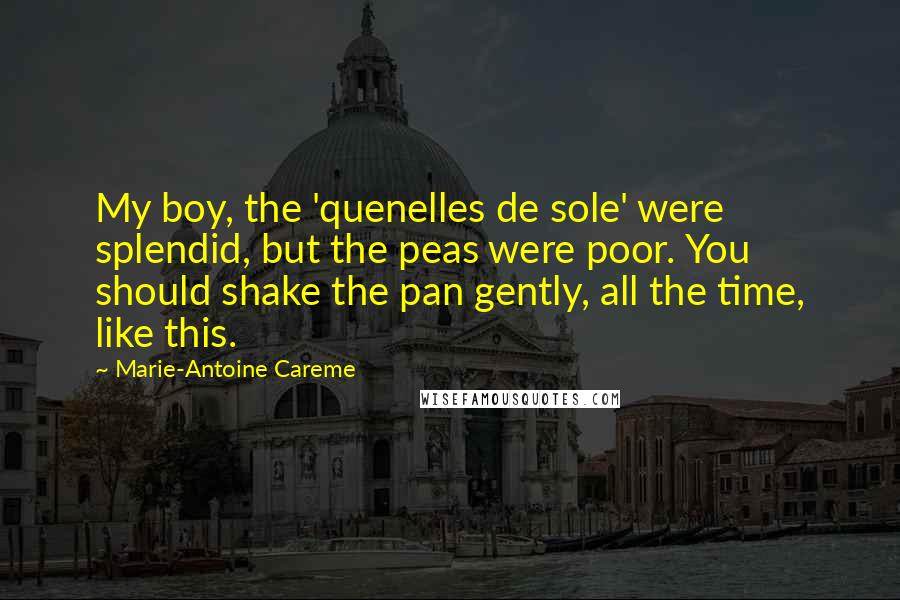 Marie-Antoine Careme Quotes: My boy, the 'quenelles de sole' were splendid, but the peas were poor. You should shake the pan gently, all the time, like this.