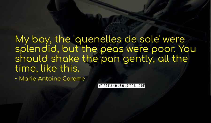 Marie-Antoine Careme Quotes: My boy, the 'quenelles de sole' were splendid, but the peas were poor. You should shake the pan gently, all the time, like this.