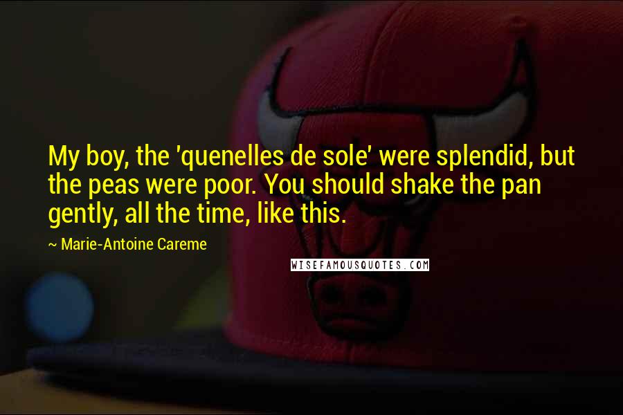 Marie-Antoine Careme Quotes: My boy, the 'quenelles de sole' were splendid, but the peas were poor. You should shake the pan gently, all the time, like this.