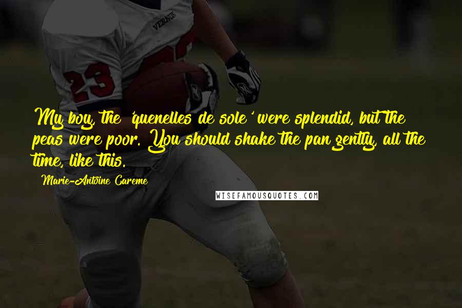 Marie-Antoine Careme Quotes: My boy, the 'quenelles de sole' were splendid, but the peas were poor. You should shake the pan gently, all the time, like this.