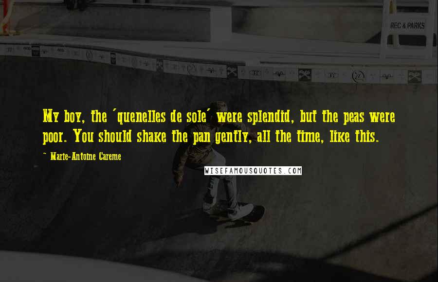 Marie-Antoine Careme Quotes: My boy, the 'quenelles de sole' were splendid, but the peas were poor. You should shake the pan gently, all the time, like this.