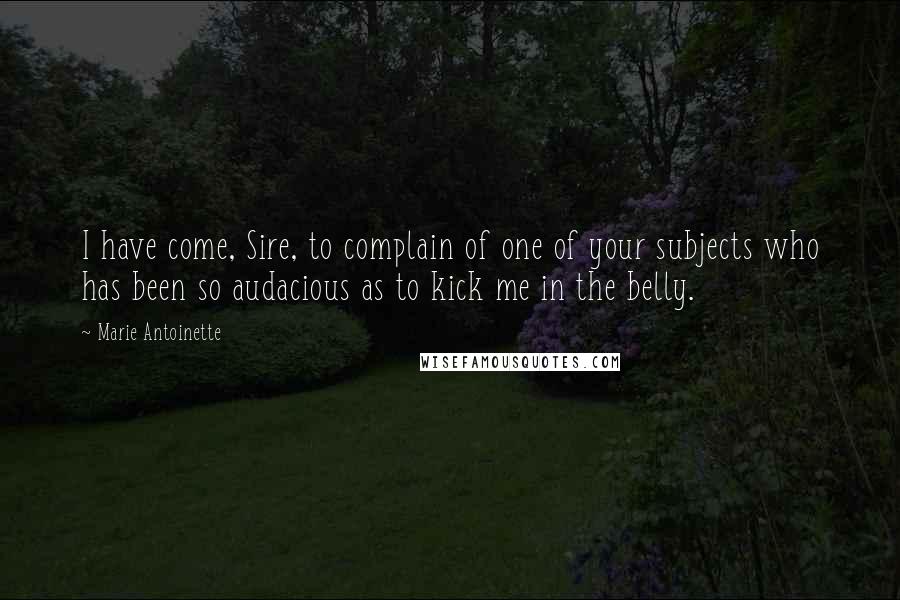 Marie Antoinette Quotes: I have come, Sire, to complain of one of your subjects who has been so audacious as to kick me in the belly.