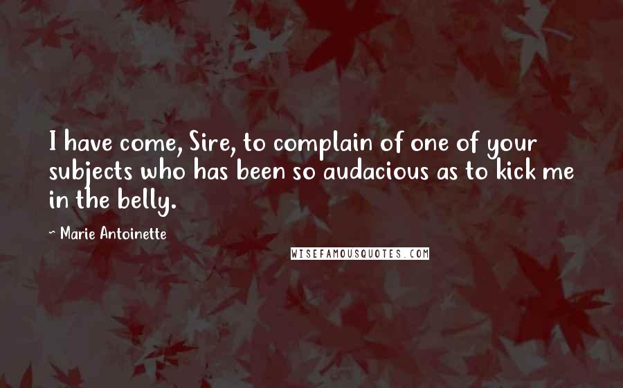 Marie Antoinette Quotes: I have come, Sire, to complain of one of your subjects who has been so audacious as to kick me in the belly.