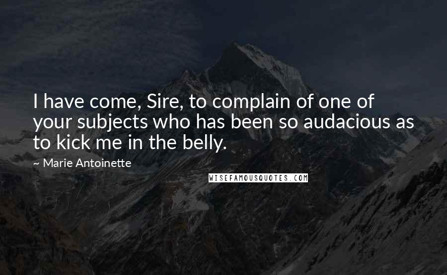 Marie Antoinette Quotes: I have come, Sire, to complain of one of your subjects who has been so audacious as to kick me in the belly.