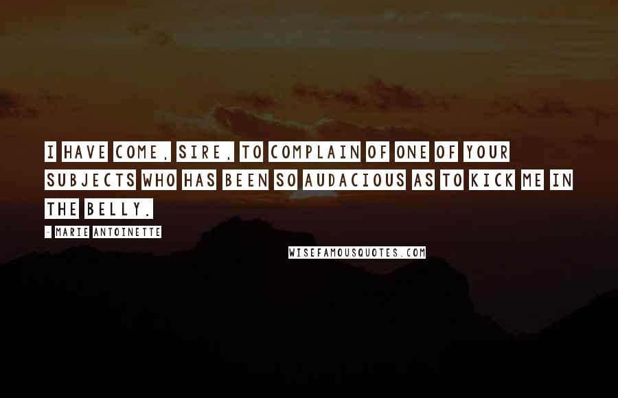 Marie Antoinette Quotes: I have come, Sire, to complain of one of your subjects who has been so audacious as to kick me in the belly.