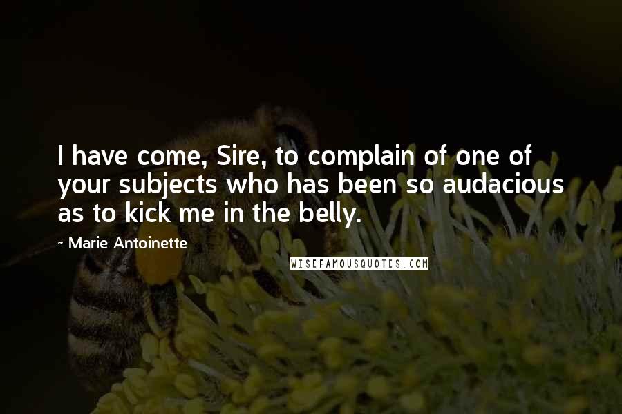 Marie Antoinette Quotes: I have come, Sire, to complain of one of your subjects who has been so audacious as to kick me in the belly.