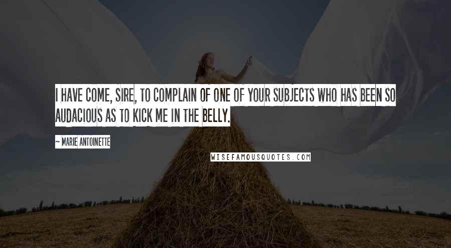 Marie Antoinette Quotes: I have come, Sire, to complain of one of your subjects who has been so audacious as to kick me in the belly.