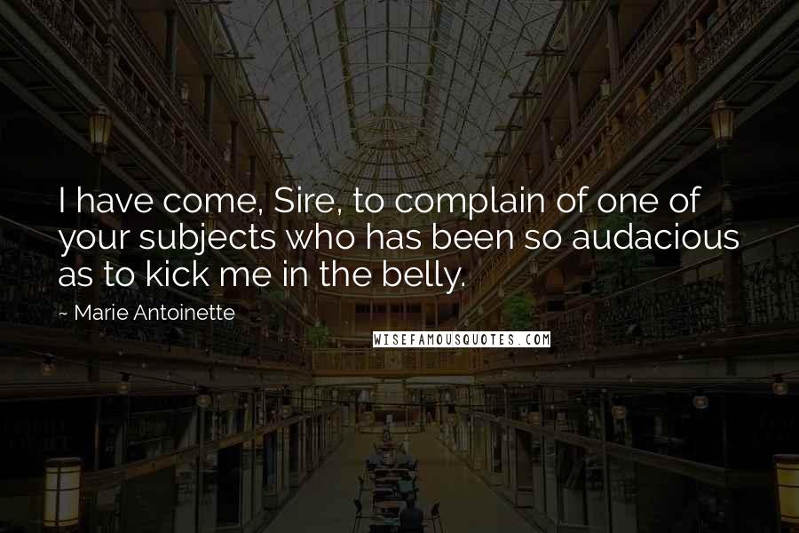 Marie Antoinette Quotes: I have come, Sire, to complain of one of your subjects who has been so audacious as to kick me in the belly.