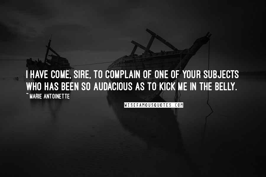 Marie Antoinette Quotes: I have come, Sire, to complain of one of your subjects who has been so audacious as to kick me in the belly.