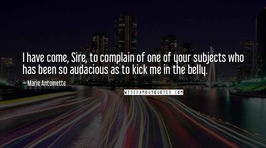 Marie Antoinette Quotes: I have come, Sire, to complain of one of your subjects who has been so audacious as to kick me in the belly.