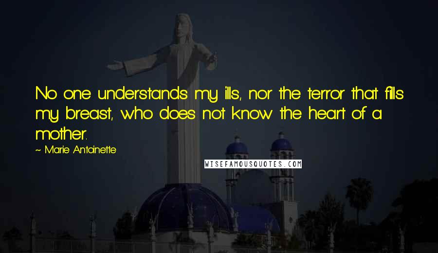 Marie Antoinette Quotes: No one understands my ills, nor the terror that fills my breast, who does not know the heart of a mother.