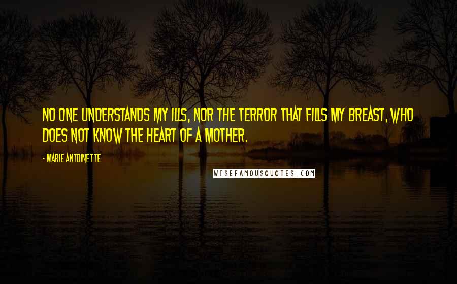 Marie Antoinette Quotes: No one understands my ills, nor the terror that fills my breast, who does not know the heart of a mother.