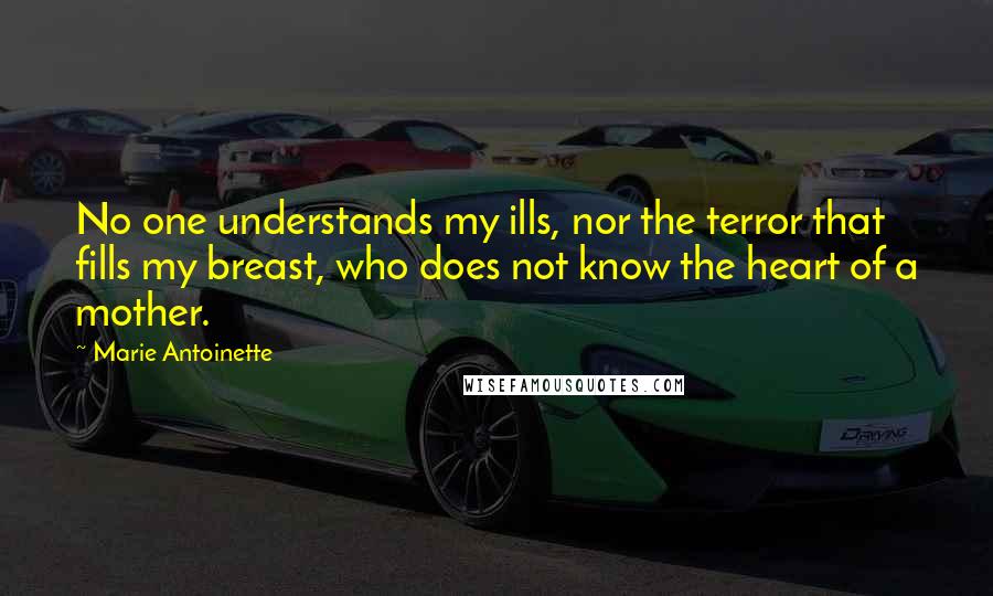 Marie Antoinette Quotes: No one understands my ills, nor the terror that fills my breast, who does not know the heart of a mother.