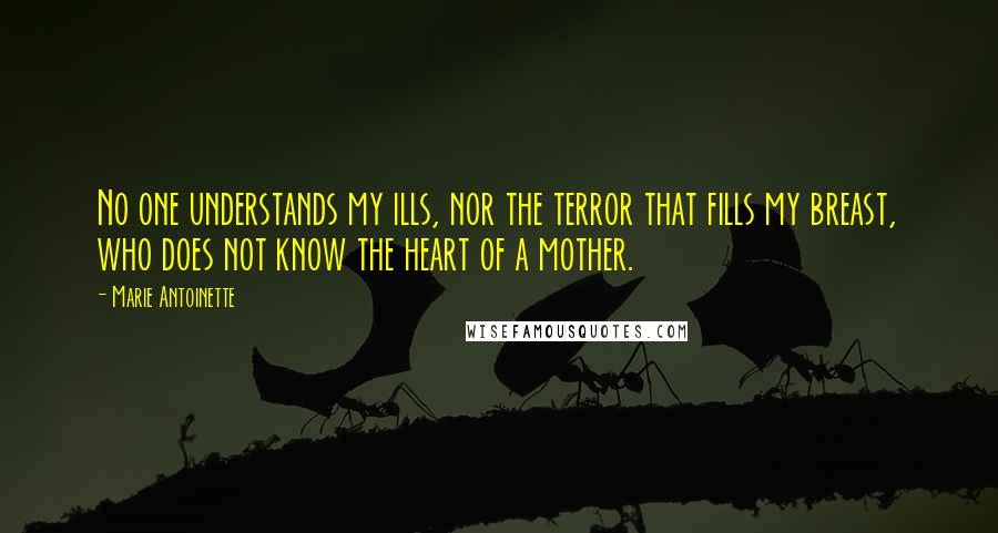 Marie Antoinette Quotes: No one understands my ills, nor the terror that fills my breast, who does not know the heart of a mother.