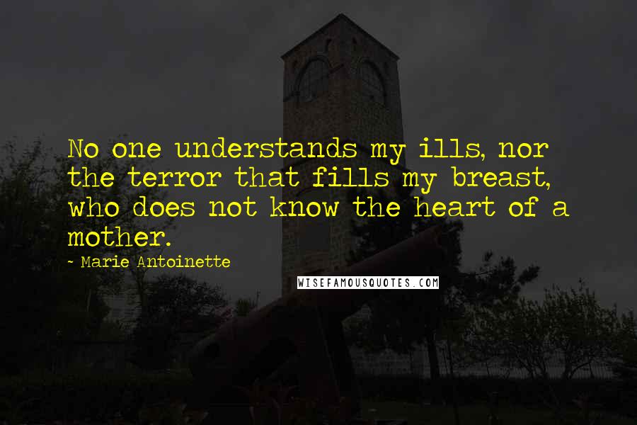 Marie Antoinette Quotes: No one understands my ills, nor the terror that fills my breast, who does not know the heart of a mother.