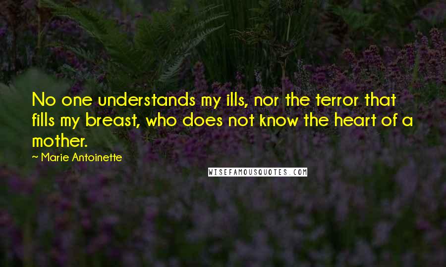 Marie Antoinette Quotes: No one understands my ills, nor the terror that fills my breast, who does not know the heart of a mother.