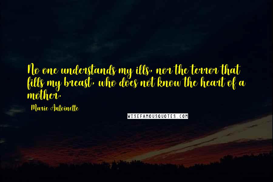 Marie Antoinette Quotes: No one understands my ills, nor the terror that fills my breast, who does not know the heart of a mother.