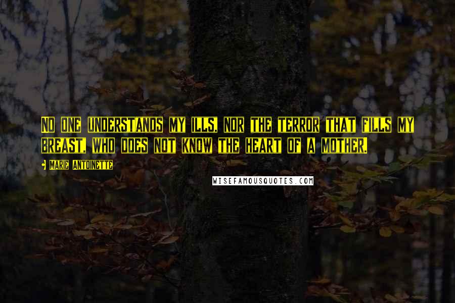 Marie Antoinette Quotes: No one understands my ills, nor the terror that fills my breast, who does not know the heart of a mother.