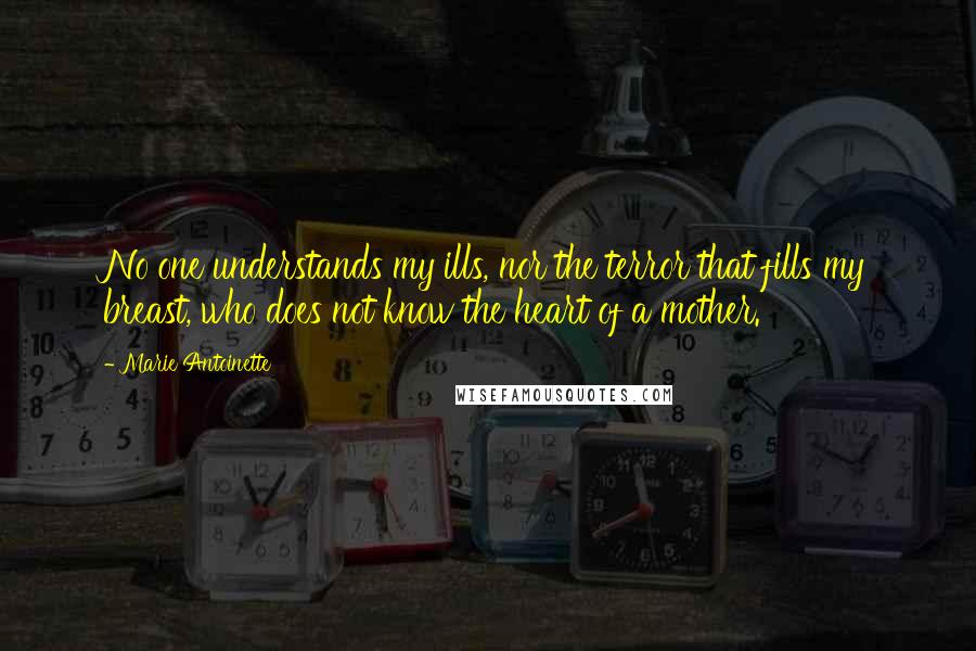 Marie Antoinette Quotes: No one understands my ills, nor the terror that fills my breast, who does not know the heart of a mother.