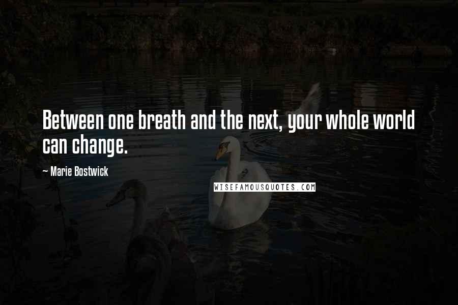 Marie Bostwick Quotes: Between one breath and the next, your whole world can change.