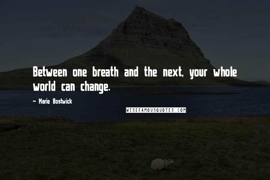 Marie Bostwick Quotes: Between one breath and the next, your whole world can change.