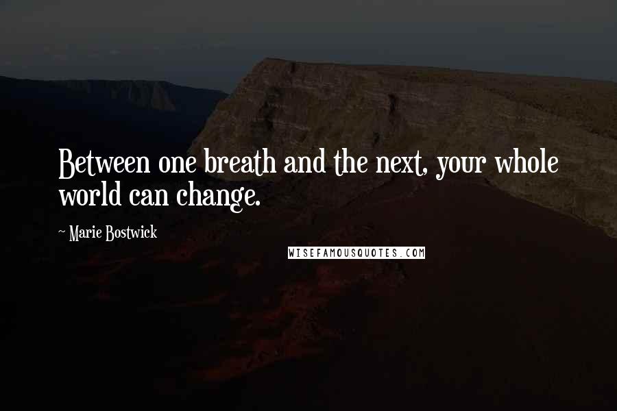 Marie Bostwick Quotes: Between one breath and the next, your whole world can change.