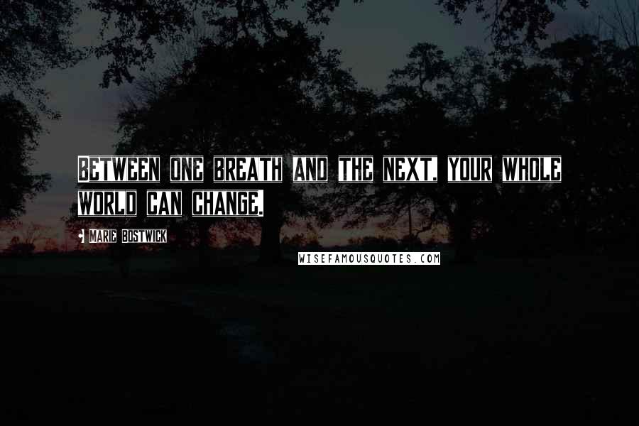 Marie Bostwick Quotes: Between one breath and the next, your whole world can change.