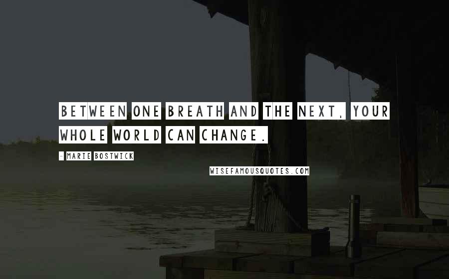 Marie Bostwick Quotes: Between one breath and the next, your whole world can change.