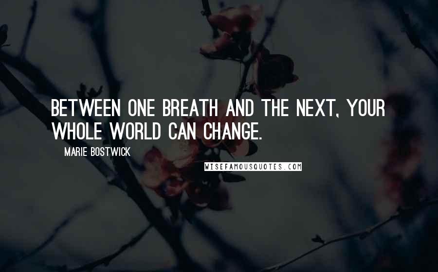 Marie Bostwick Quotes: Between one breath and the next, your whole world can change.