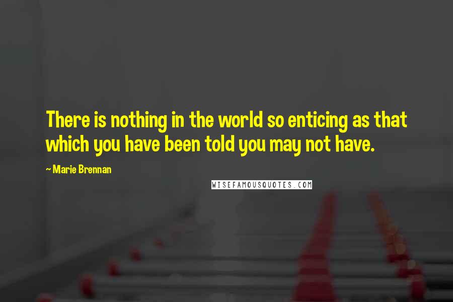 Marie Brennan Quotes: There is nothing in the world so enticing as that which you have been told you may not have.