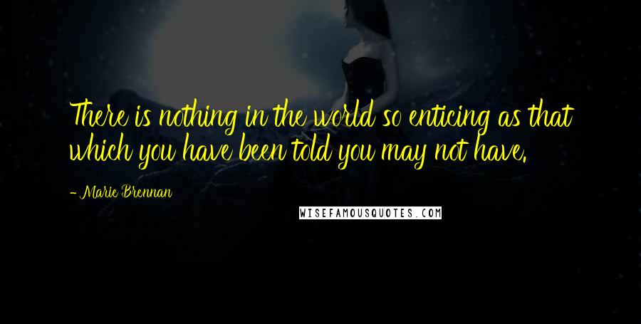 Marie Brennan Quotes: There is nothing in the world so enticing as that which you have been told you may not have.