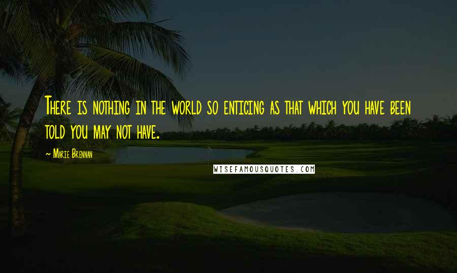 Marie Brennan Quotes: There is nothing in the world so enticing as that which you have been told you may not have.