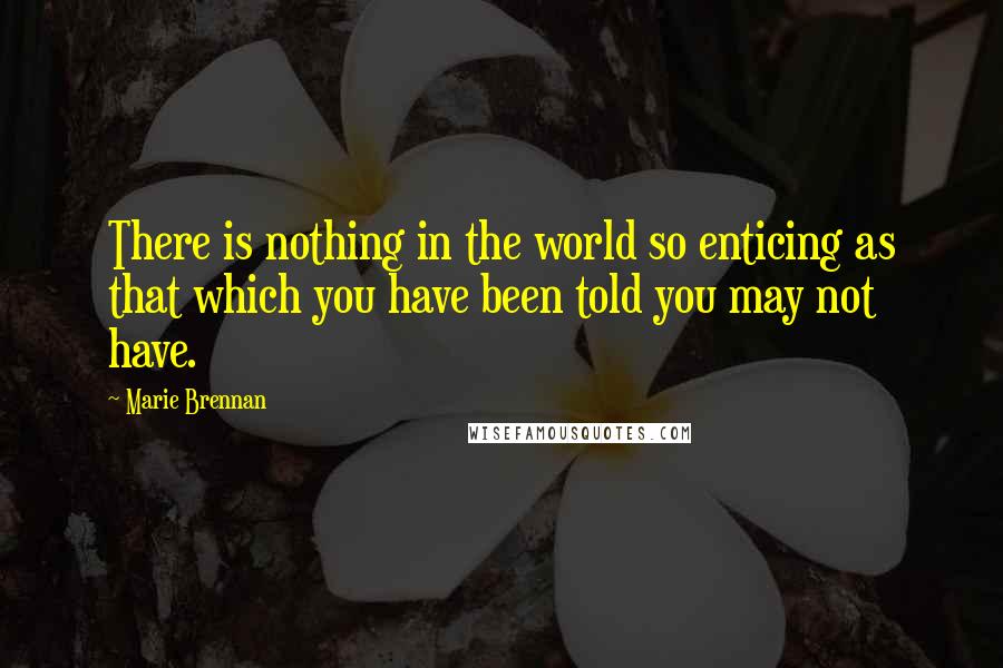 Marie Brennan Quotes: There is nothing in the world so enticing as that which you have been told you may not have.