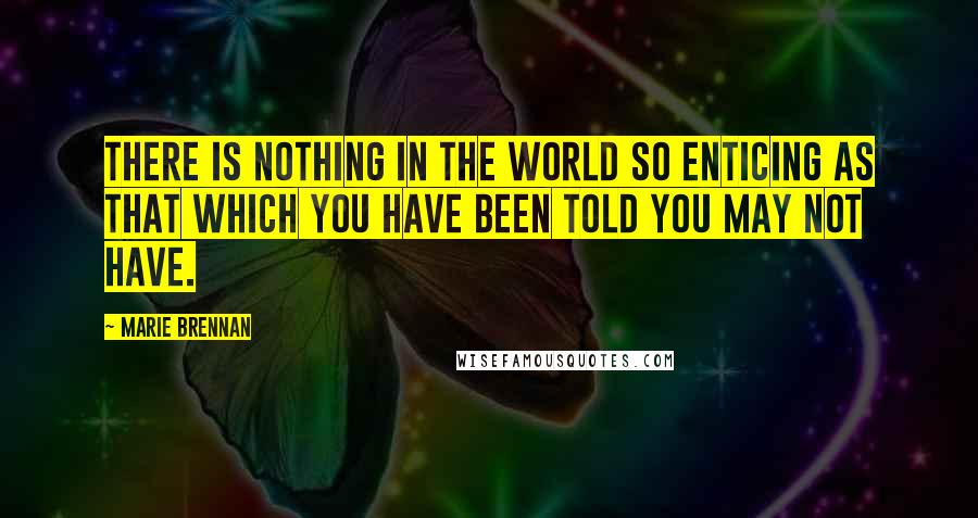 Marie Brennan Quotes: There is nothing in the world so enticing as that which you have been told you may not have.