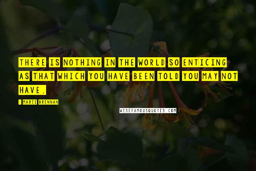 Marie Brennan Quotes: There is nothing in the world so enticing as that which you have been told you may not have.