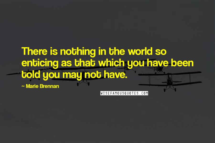 Marie Brennan Quotes: There is nothing in the world so enticing as that which you have been told you may not have.