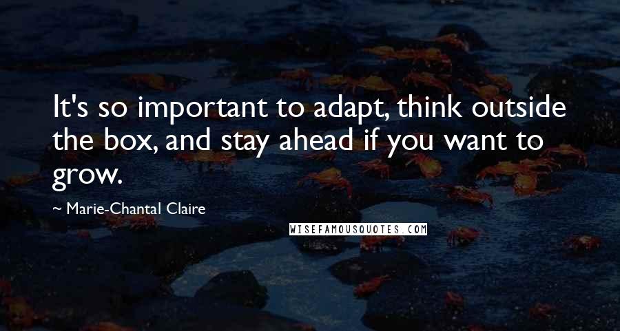 Marie-Chantal Claire Quotes: It's so important to adapt, think outside the box, and stay ahead if you want to grow.