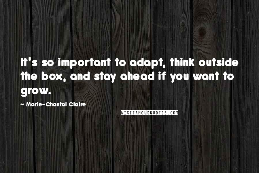 Marie-Chantal Claire Quotes: It's so important to adapt, think outside the box, and stay ahead if you want to grow.