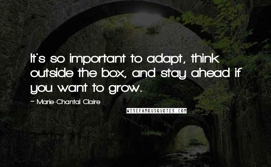 Marie-Chantal Claire Quotes: It's so important to adapt, think outside the box, and stay ahead if you want to grow.