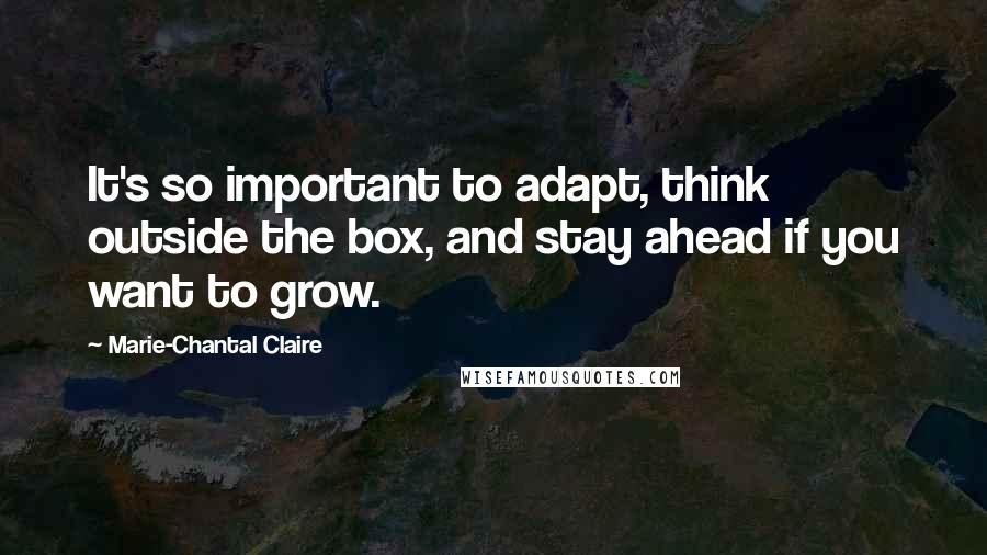 Marie-Chantal Claire Quotes: It's so important to adapt, think outside the box, and stay ahead if you want to grow.