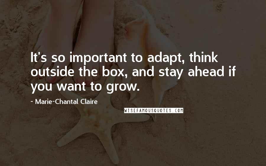 Marie-Chantal Claire Quotes: It's so important to adapt, think outside the box, and stay ahead if you want to grow.