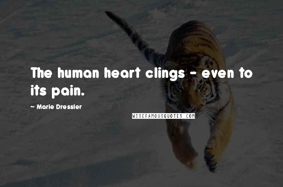 Marie Dressler Quotes: The human heart clings - even to its pain.