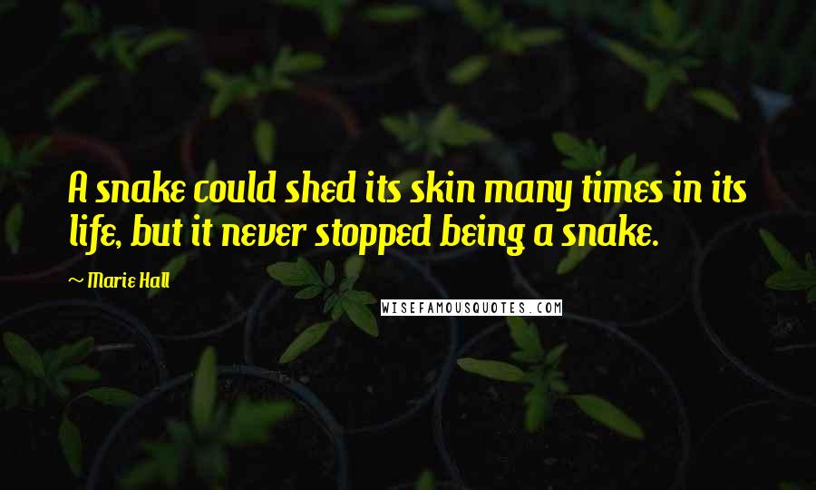 Marie Hall Quotes: A snake could shed its skin many times in its life, but it never stopped being a snake.